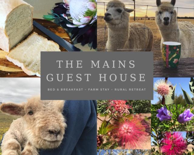 The Mains Guest House 2 Bedroom Farm Stay Corrigin Kültér fotó